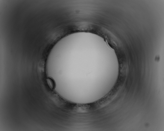 X0000102850368200809021407