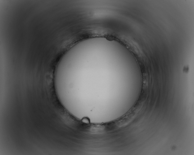 X0000102850369200809021407