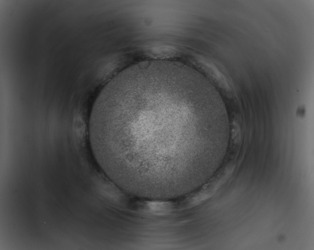 X0000102850371200809021407