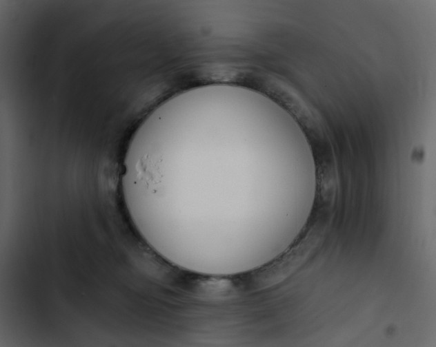 X0000102850374200809021407