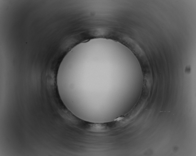 X0000102850380200809021407