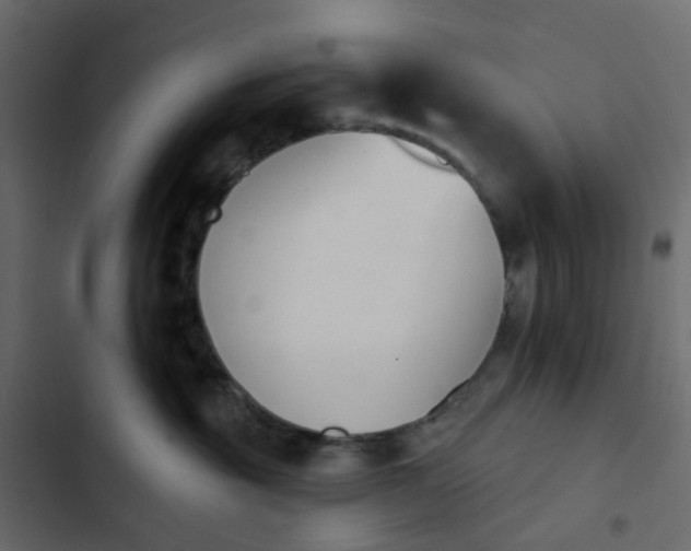 X0000102850381200809021407