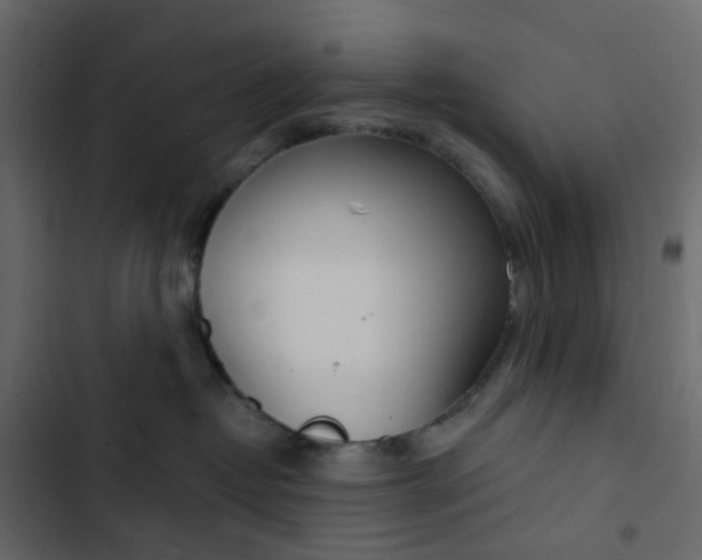 X0000102850382200809021407