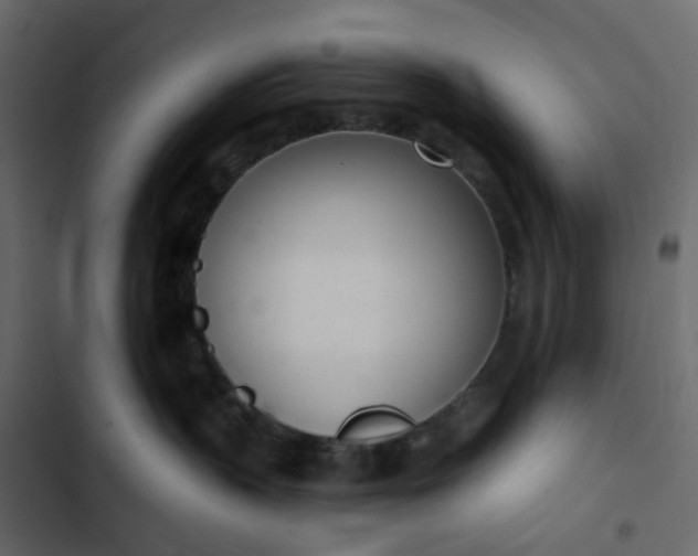 X0000102850383200809021407