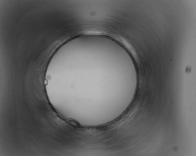 X0000102850385200809021406