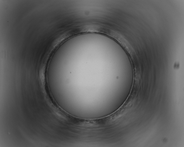 X0000102850386200809021406