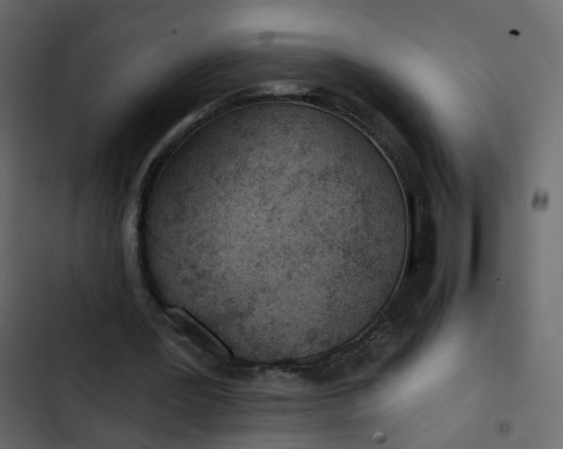 X0000102850387200809021406