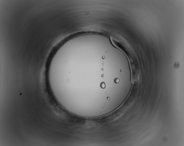 X0000102850388200809021406