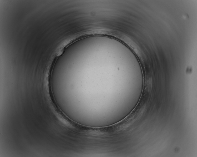 X0000102850389200809021406