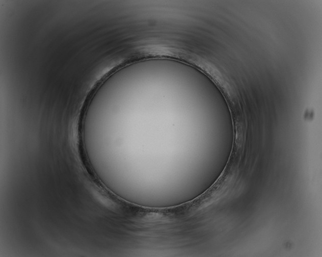 X0000102850390200809021406