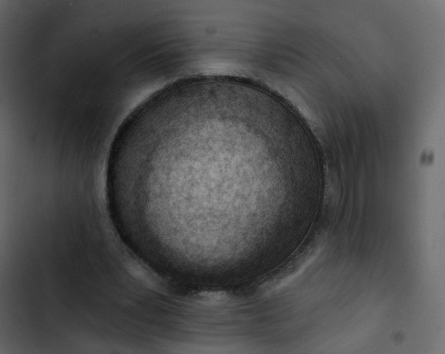 X0000102850391200809021406