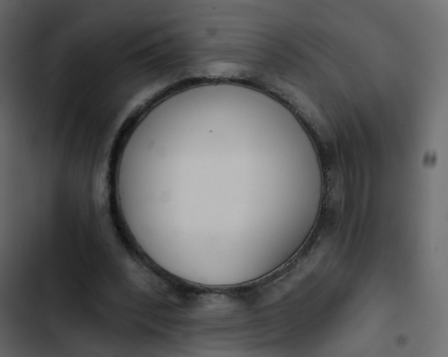 X0000102850392200809021406