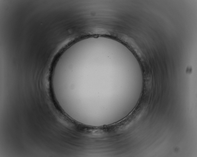 X0000102850395200809021406