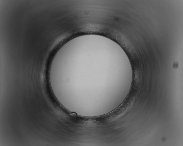 X0000102850396200809021406