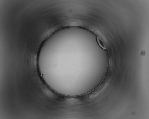 X0000102850397200809021406