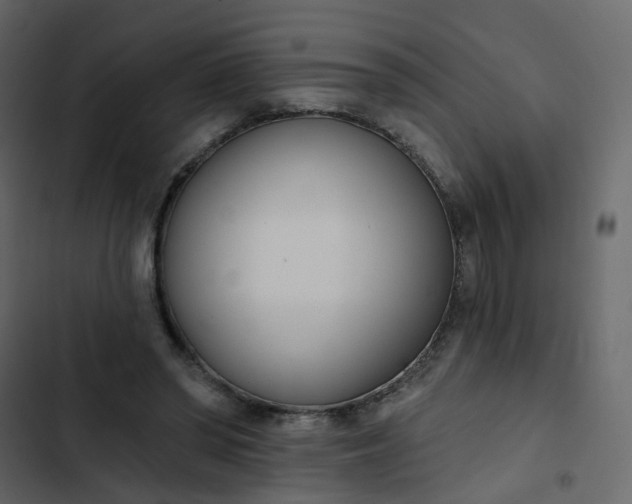 X0000102850398200809021406