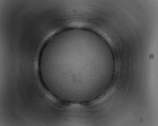 X0000102850399200809021406