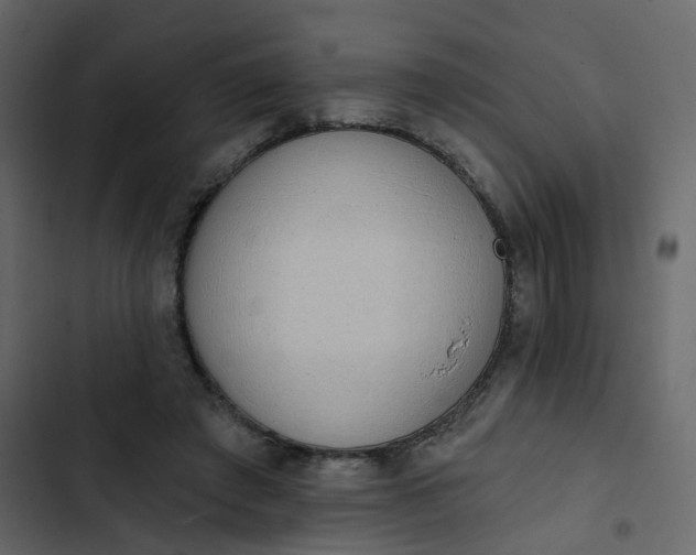 X0000102850401200809021406