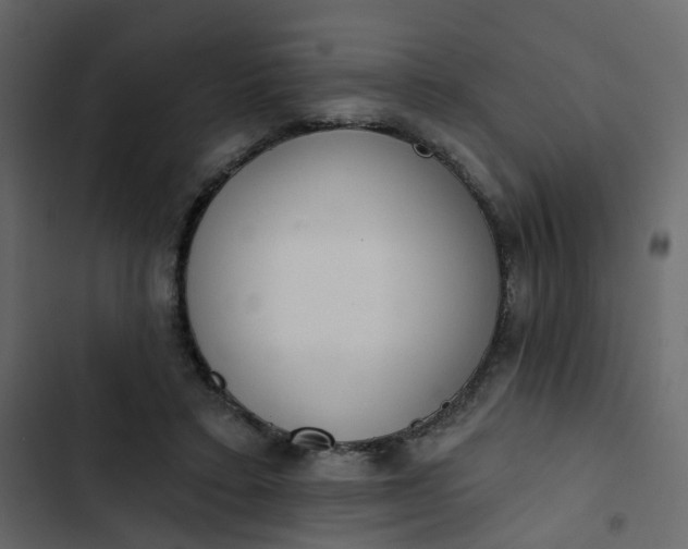 X0000102850403200809021406