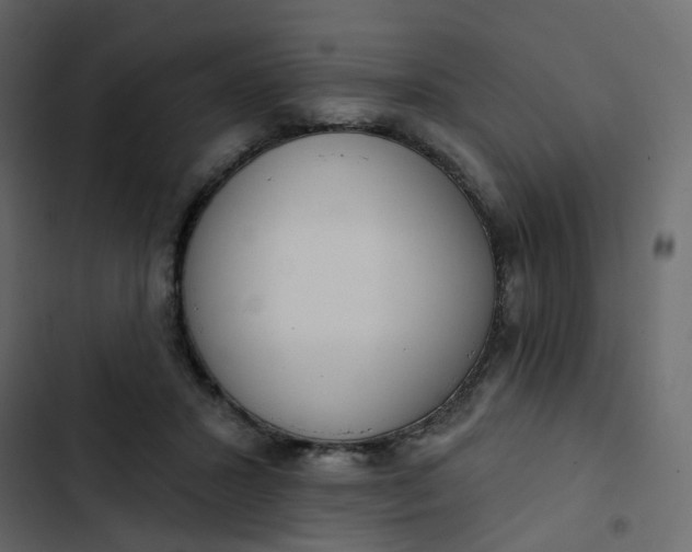 X0000102850407200809021406