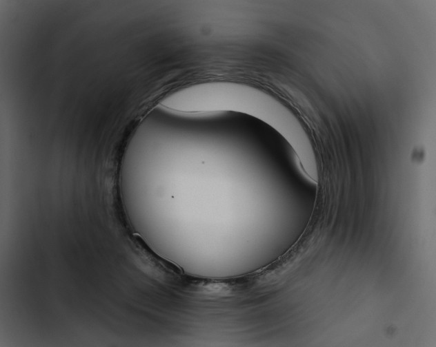 X0000102850409200809021406