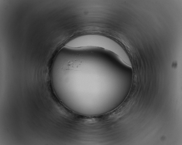 X0000102850411200809021406