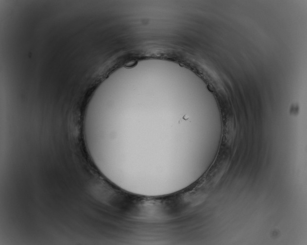 X0000102850413200809021406