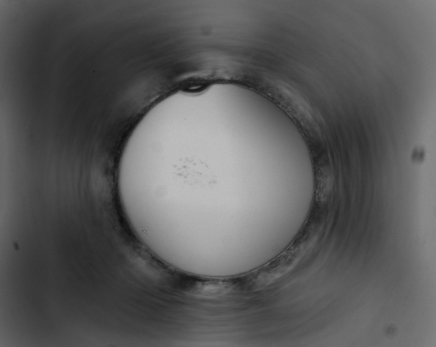 X0000102850414200809021406