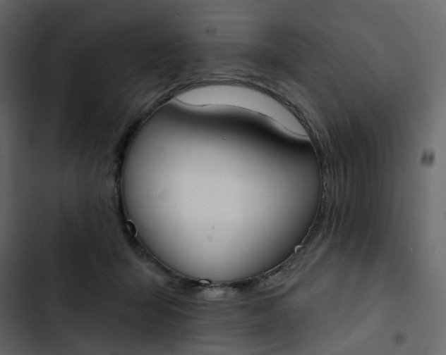 X0000102850415200809021406