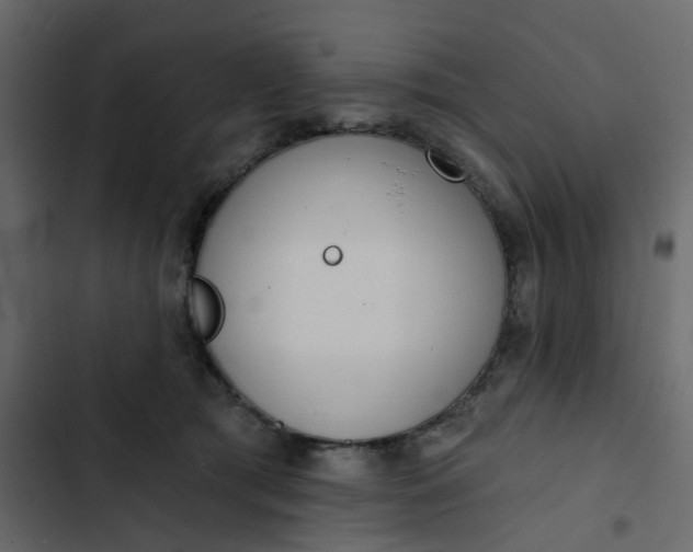 X0000102850417200809021405