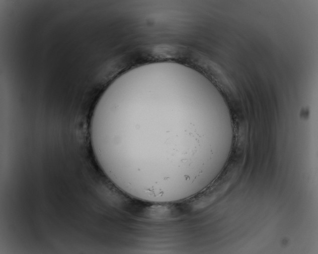 X0000102850418200809021405