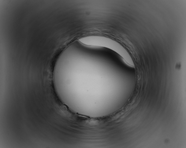 X0000102850419200809021405