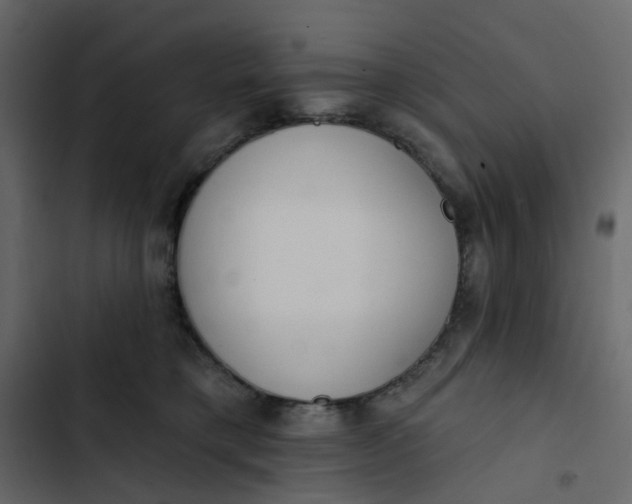 X0000102850421200809021405