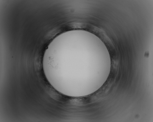 X0000102850422200809021405