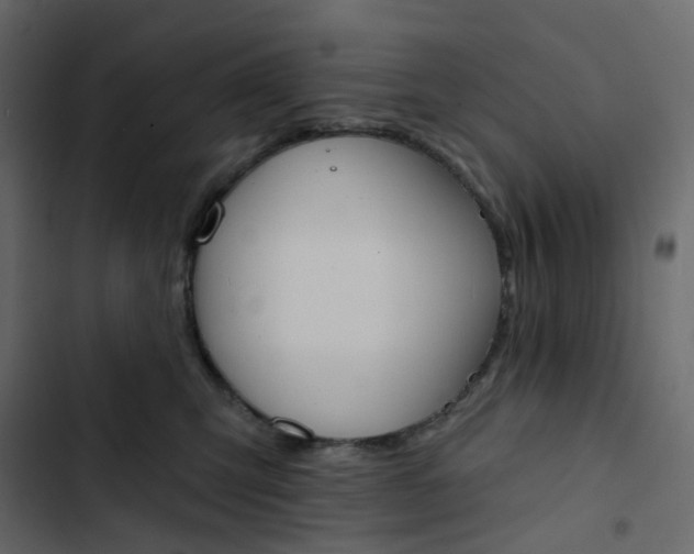 X0000102850423200809021405