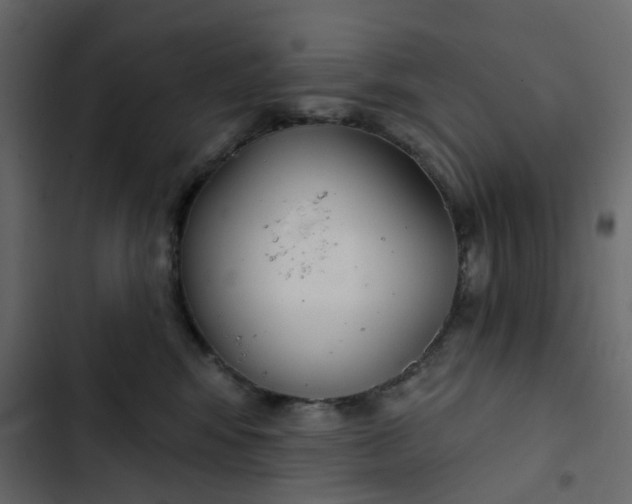 X0000102850424200809021405