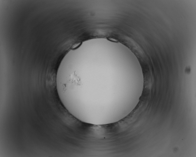 X0000102850425200809021405