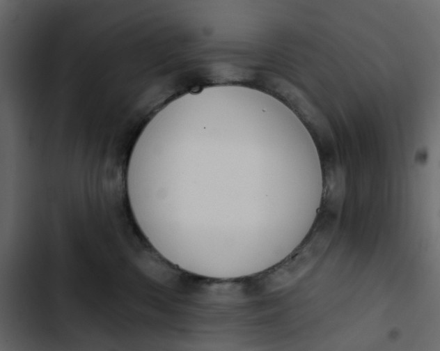 X0000102850426200809021405