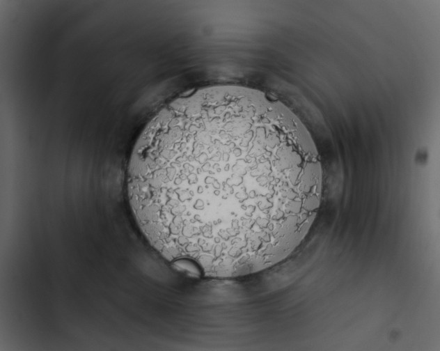 X0000102850427200809021405