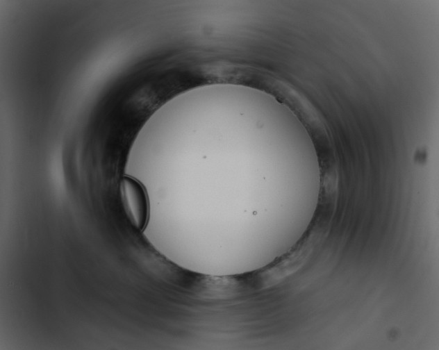 X0000102850429200809021405