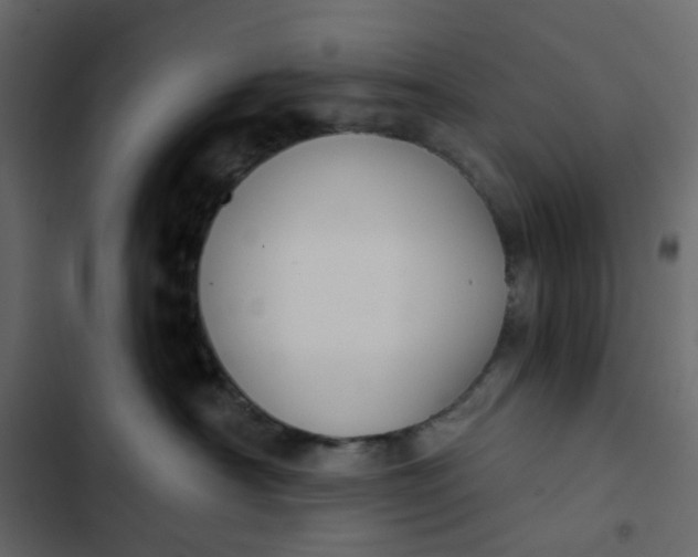 X0000102850430200809021405