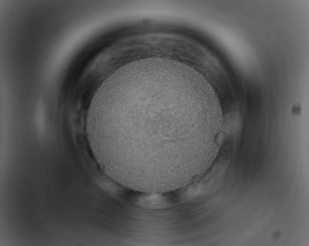 X0000102850431200809021405