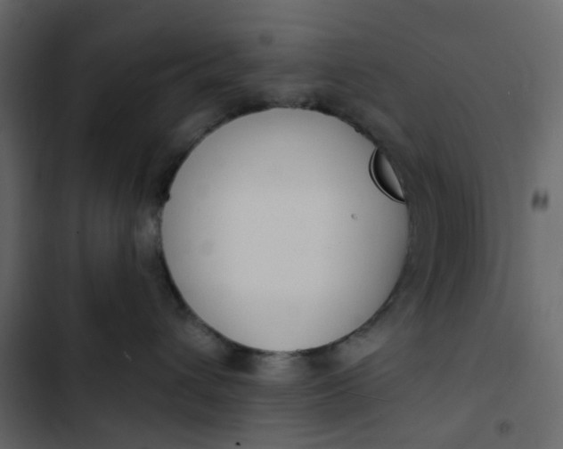 X0000102850432200809021405