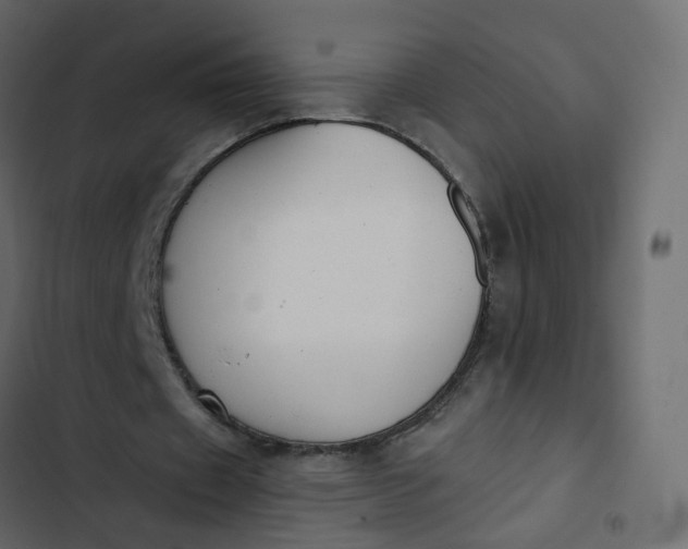 X0000102850433200809021405