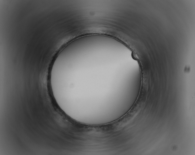 X0000102850434200809021405