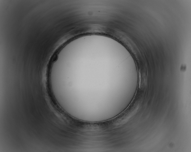 X0000102850435200809021405