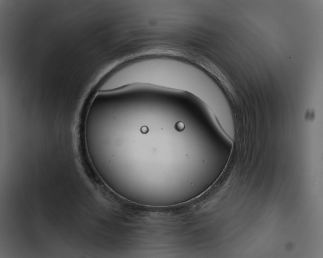 X0000102850436200809021405