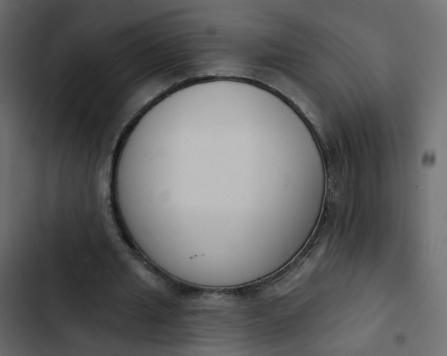 X0000102850437200809021405