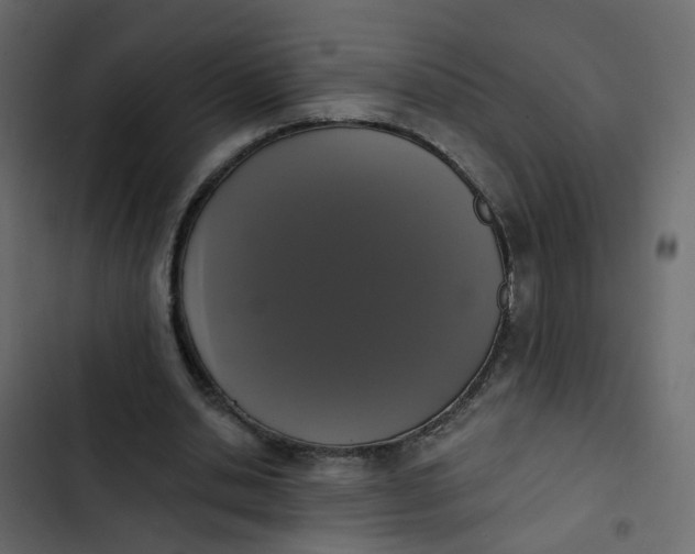 X0000102850438200809021405