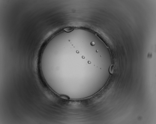 X0000102850440200809021405